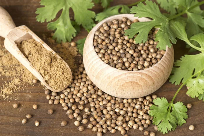 Coriander Seeds - Image 3