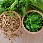 Coriander Seeds - Image 4