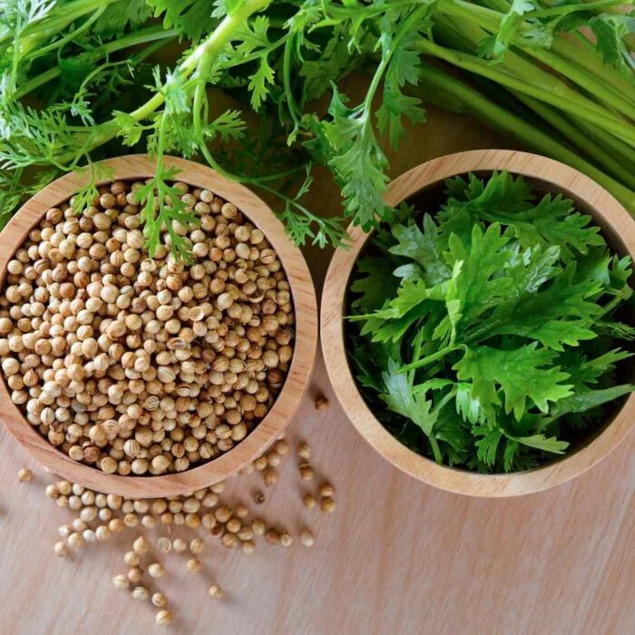 Coriander Seeds - Image 4