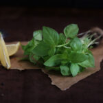 Holy Basil - Image 3