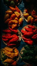 Red Chili - Image 3