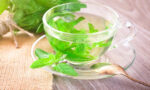 Mint (Pudina) - Image 2