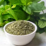 Mint (Pudina) - Image 4