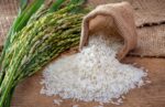 Rice - Image 3