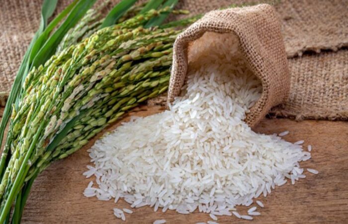 Rice - Image 3